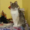 Отзыв от Нина Филатова